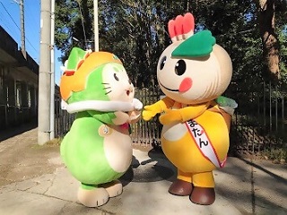 なしこまどんとかまたんがじゃれあっている写真
