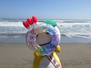 海でうきわから覗いてくるかまたんの写真