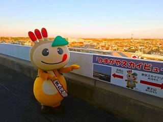 市役所屋上で空を見るかまたんの写真