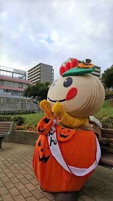 ハロウィンのかぼちゃ衣装を着てベンチに座るかまたんの写真