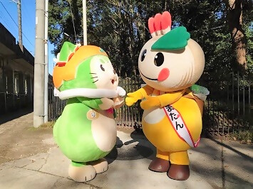 なしこまどんとかまたんがじゃれあっている写真