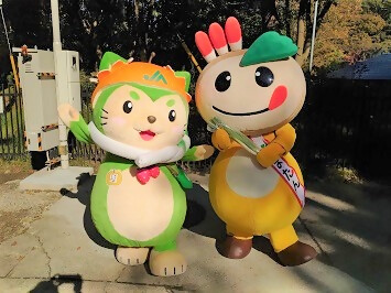 なしこまどんとかまたんの写真