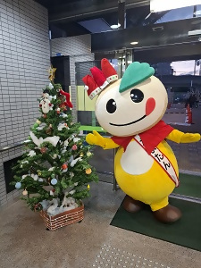 クリスマスツリーとかまたんの写真