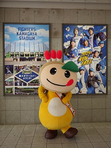 駅自由通路のファイターズのポスターとかまたんの写真