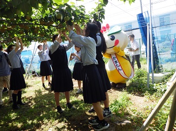 木になる梨に絵を彫る高校生たちと応援するかまたんの写真