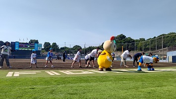 前屈して腰をストレッチするかまたんの写真