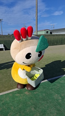 テニスコートで球拾いするかまたんの写真