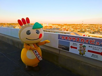 市役所屋上で空を眺めるかまたんの写真