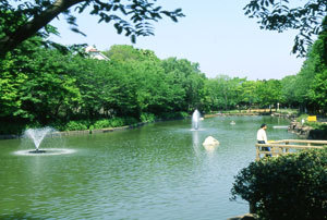 貝柄山公園