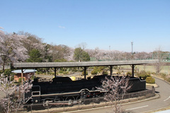 展望台からの風景の写真