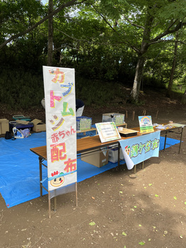 カブトムシの幼虫配布イベントブースの様子(写真)