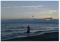 稲毛海岸の写真