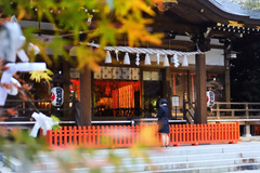 神社にお参りをしている写真