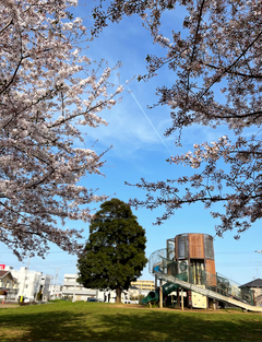 公園の様子の写真