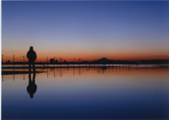 夕暮れのふなばし三番瀬海浜公園の写真