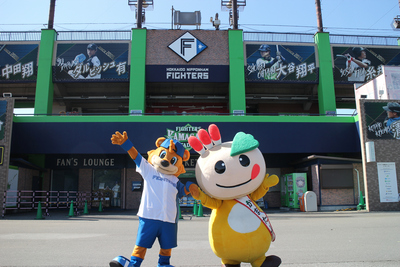 ファイターズ鎌ケ谷スタジアム球場内で、カビーとかまたんがうつっている写真