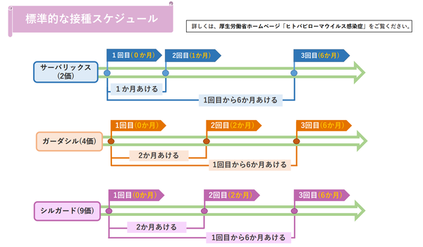 標準的な接種間隔の例PDF画像