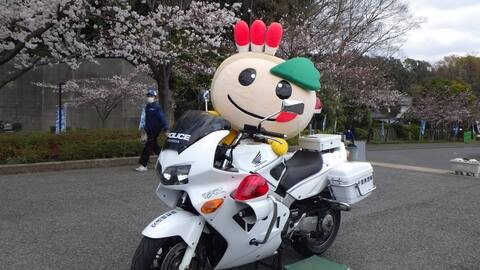 白バイとかまたんの写真