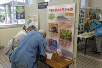 市役所1階で展示をしている様子（写真）