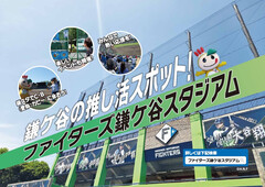 ファイターズ鎌ケ谷スタジアムの画像