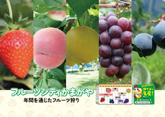 フルーツシティかまがやの画像