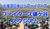 北海道日本ハムファイターズ　ファイターズ鎌ケ谷スタジアム