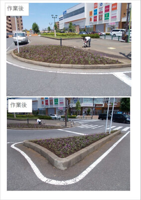 宿根バーベナ植栽活動作業後の写真