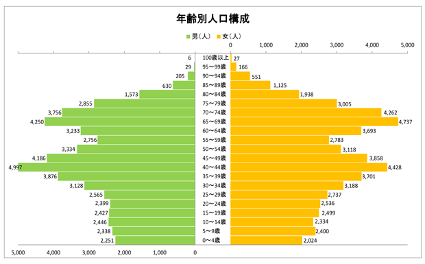 グラフ：年齢別人口構成