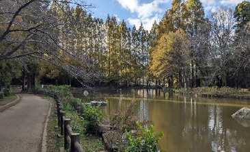 貝柄山公園【写真】